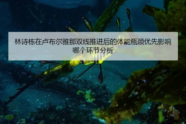lin-shi-dong-zai-lu-bu-er-ya-na-shuang-xian-tui-jin-hou-de-ti-neng-ping-jing-you-xian-ying-xiang-na-ge-huan-jie-fen-xi-2-123.jpg