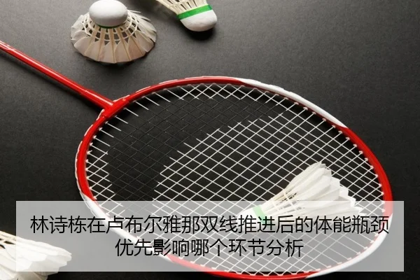 林诗栋在卢布尔雅那双线推进后的体能瓶颈优先影响哪个环节分析